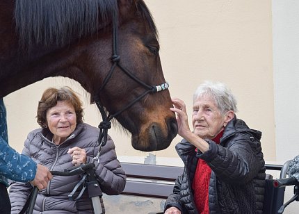 Intenzivní zooterapie pro seniory