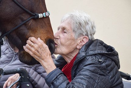 Intenzivní zooterapie pro seniory