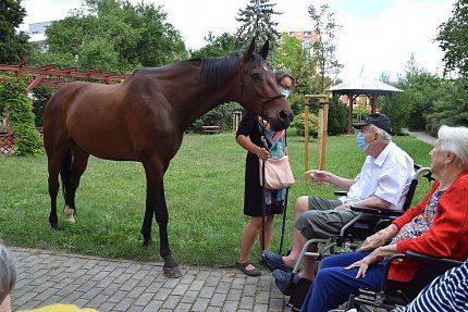 Setkání klientů s terapeutickým koněm Sagim