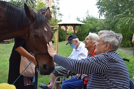 Setkání klientů s terapeutickým koněm Sagim