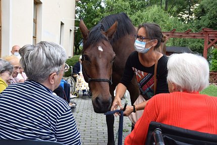 Setkání klientů s terapeutickým koněm Sagim