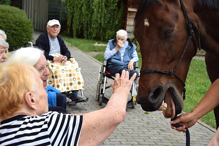 Setkání klientů s terapeutickým koněm Sagim