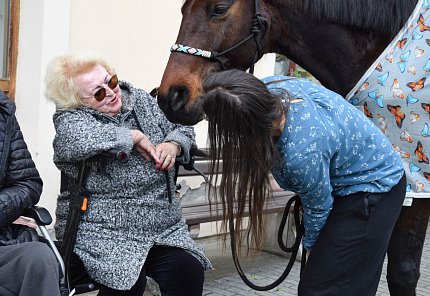 Intenzivní zooterapie pro seniory