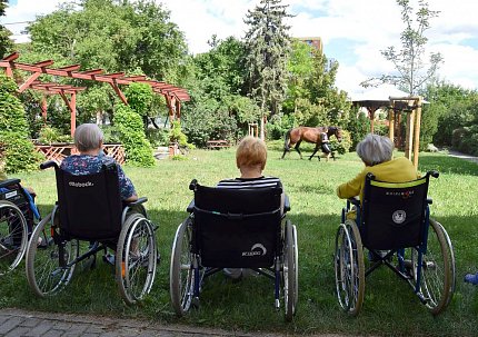 Setkání klientů s terapeutickým koněm Sagim