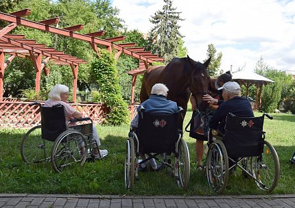 Setkání klientů s terapeutickým koněm Sagim