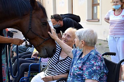 Setkání klientů s terapeutickým koněm Sagim