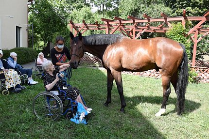 Setkání klientů s terapeutickým koněm Sagim