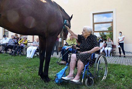 Setkání klientů s terapeutickým koněm Sagim