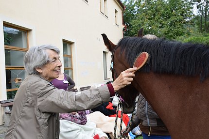 Návštěva klisny Lady