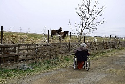 Výlet ke koním v Ohrobci