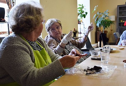 Závěr roku 2019 v životě klientů, zaměstnanců a dobrovolníků Sue Ryder