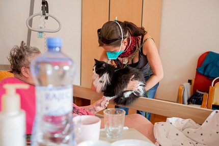 První felinoterapie v Sue Ryder