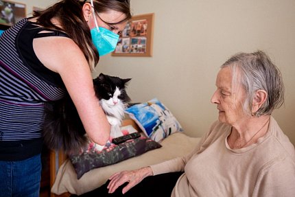 První felinoterapie v Sue Ryder