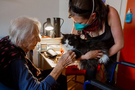 První felinoterapie v Sue Ryder