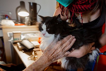 První felinoterapie v Sue Ryder