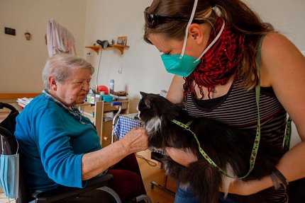 První felinoterapie v Sue Ryder