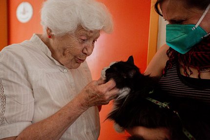 První felinoterapie v Sue Ryder