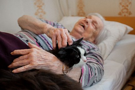 První felinoterapie v Sue Ryder