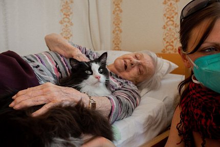 První felinoterapie v Sue Ryder