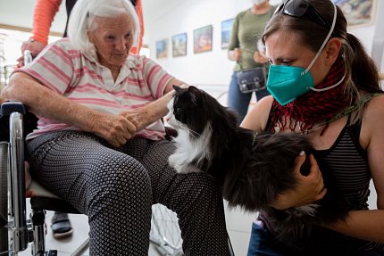 První felinoterapie v Sue Ryder