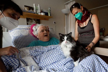 První felinoterapie v Sue Ryder