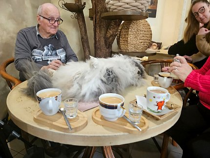 Intenzivní zooterapie pro seniory