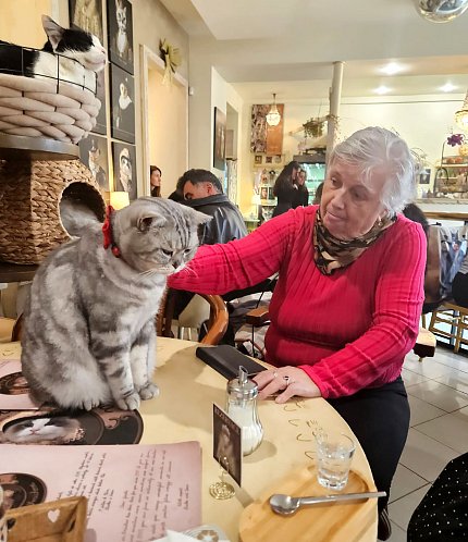 Intenzivní zooterapie pro seniory