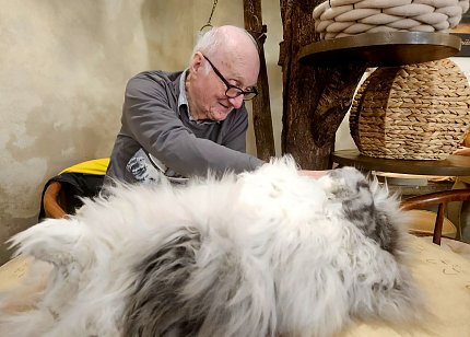 Intenzivní zooterapie pro seniory