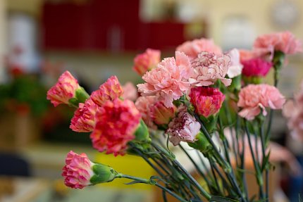 Mezinárodní den seniorů jsme oslavili květinami