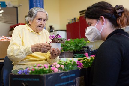 Mezinárodní den seniorů jsme oslavili květinami