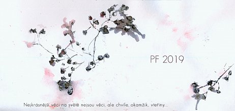 PF 2019