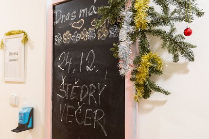 Začátek i konec roku ve fotografiích