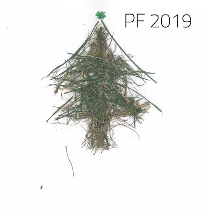 PF 2019