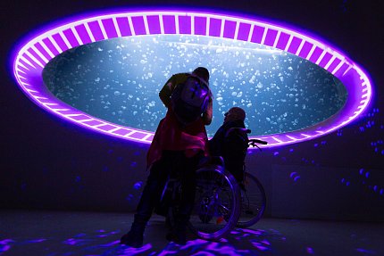 Výlet do světa medúz