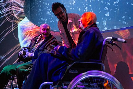 Výlet do světa medúz