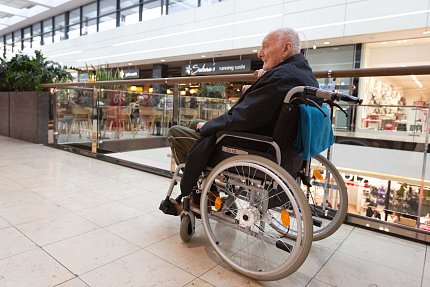 Výlet do světa medúz