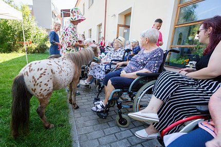 Návštěva zvířátek z Boušic