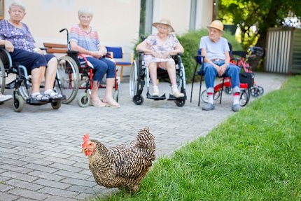 Návštěva zvířátek z Boušic