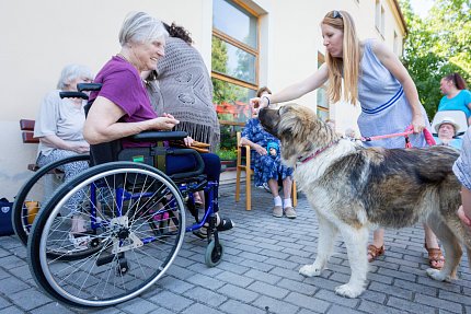 Návštěva zvířátek z Boušic