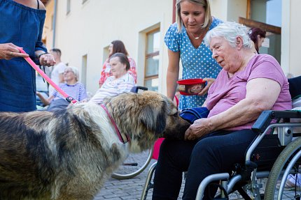 Návštěva zvířátek z Boušic