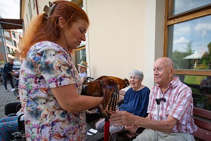 Slepice, psi, koza, králík, poník.. aneb zahradní setkání se zvířátky z Boušic 