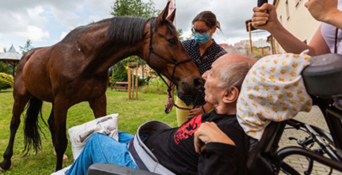 Setkání s terapeutickým koněm Sagim