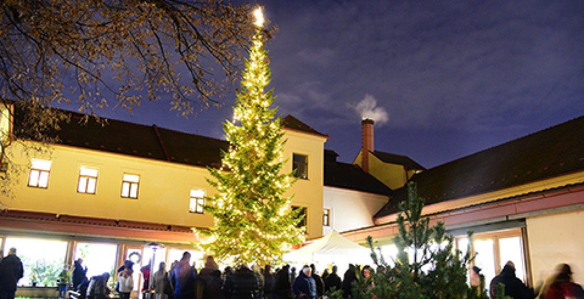 Rozsvícení stromu v Michelském dvoře 2025