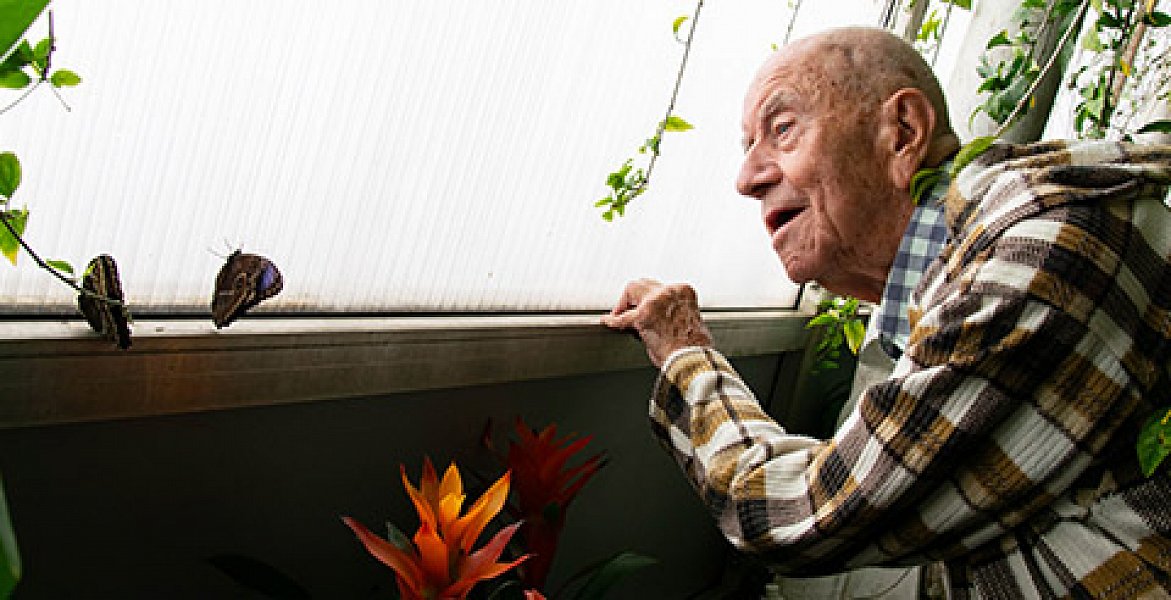 Výlet za motýly do botanické zahrady