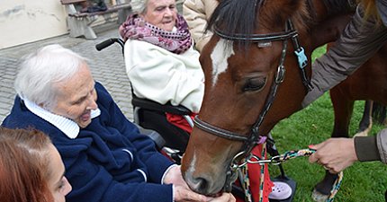 We had a wonderful visit at Sue Ryder – Lady the mare. Both she and our clients were delighted by the collective meeting.