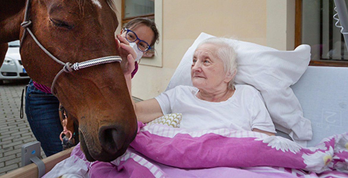 Fotogalerie: Návštěva terapeutického koně Sagiho